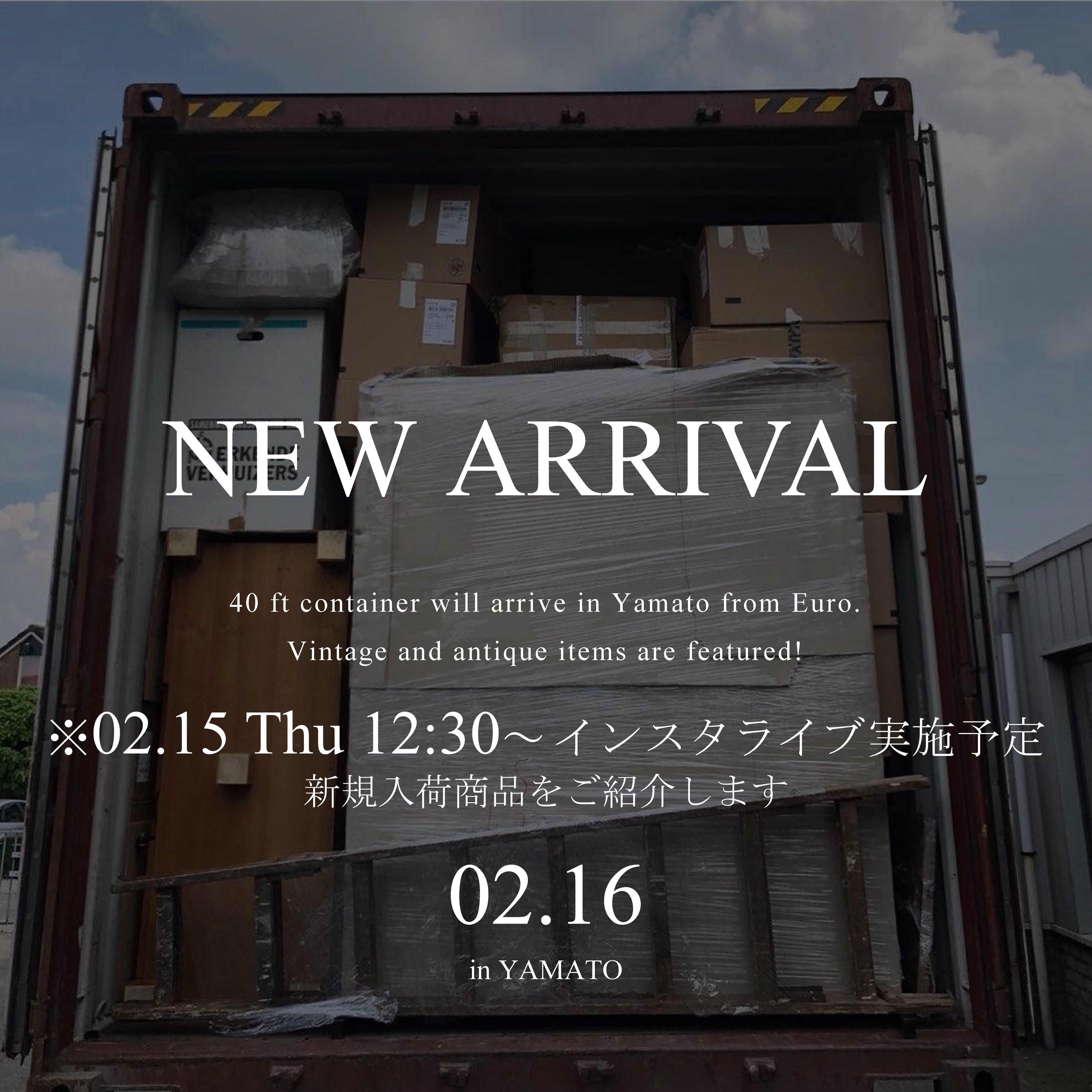 【新着入荷情報】SHARK ATTACK "YAMATO"