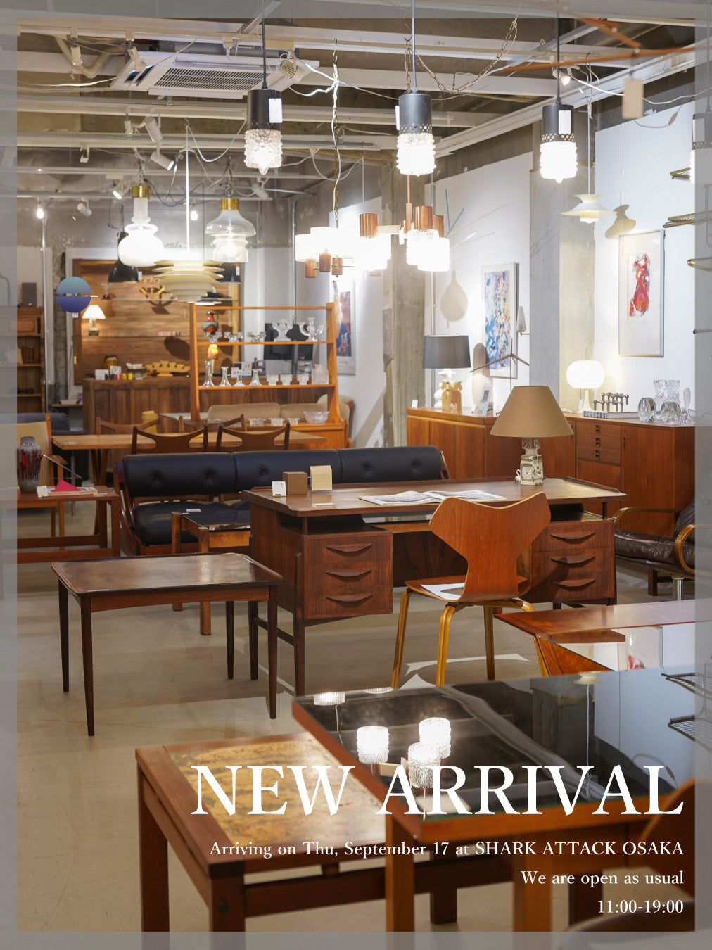 【 SHARK ATTACK OSAKA 】NEW ARRIVALS