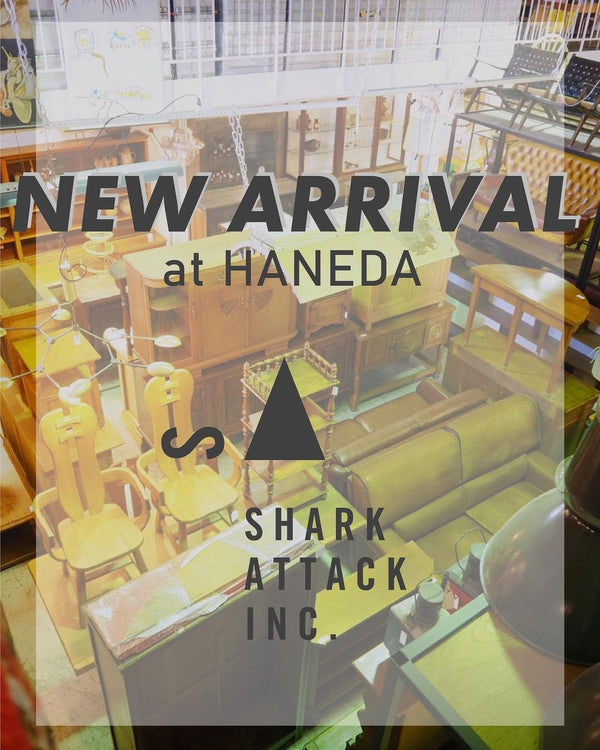 【SHARK ATTACK LANDより入荷情報】