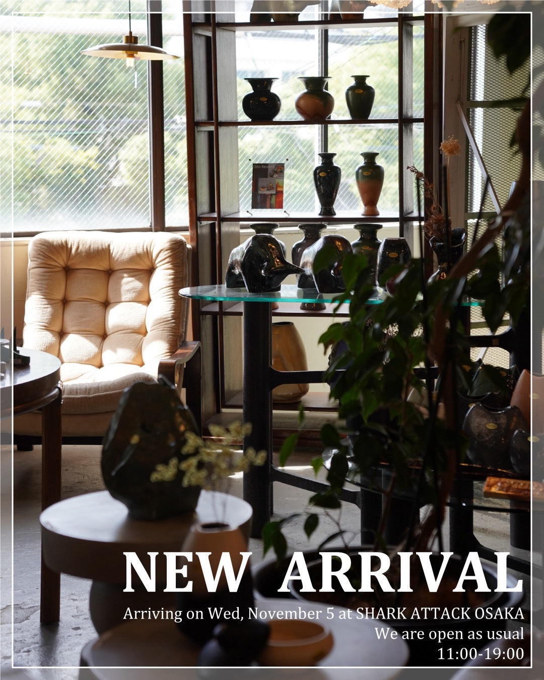 About | SHARK ATTACK ONLINE SHOP