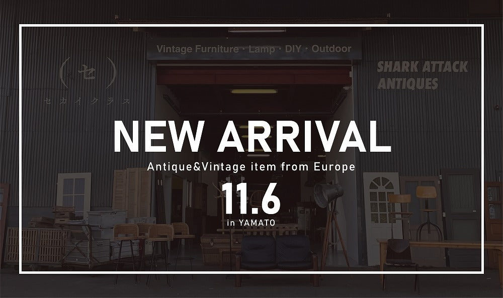 【新入荷情報】SHARK ATTACK YAMATO