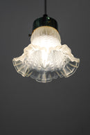 フロストガラス ペンダントランプ<br>ヴィンテージ<br>大和店 - ヴィンテージ SHARK ATTACK