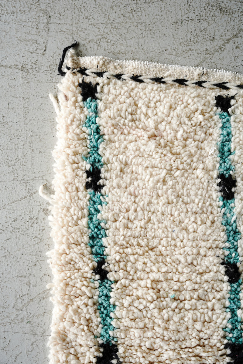 Aziral rug 1070×570<br> Sendagaya store