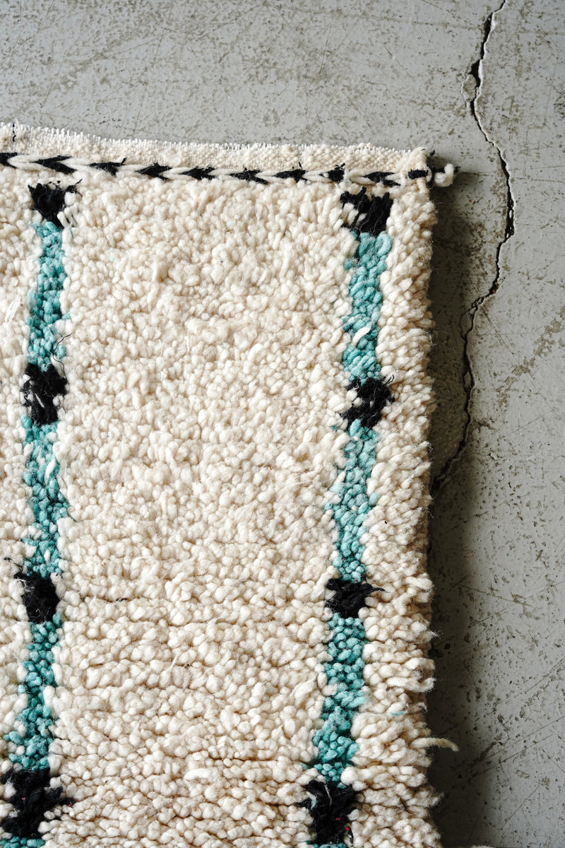 Aziral rug 1070×570<br> Sendagaya store