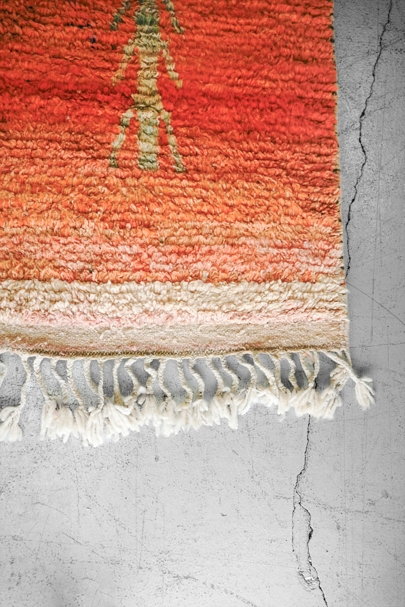 Aziral rug 2700×1680<br> Sendagaya store