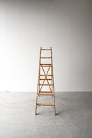 ウッド ラダー<br>ヴィンテージ<br>大和店 - ヴィンテージ SHARK ATTACK