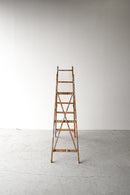 ウッド ラダー<br>ヴィンテージ<br>大和店 - ヴィンテージ SHARK ATTACK