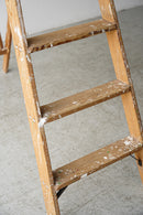 ウッド ラダー<br>ヴィンテージ<br>大和店 - ヴィンテージ SHARK ATTACK