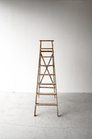 ウッド ラダー<br>ヴィンテージ<br>大阪店 - ヴィンテージ SHARK ATTACK