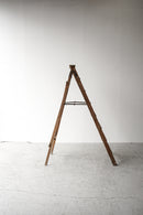 ウッド ラダー<br>ヴィンテージ<br>大阪店 - ヴィンテージ SHARK ATTACK