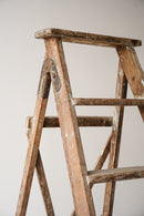 ウッド ラダー<br>ヴィンテージ<br>大阪店 - ヴィンテージ SHARK ATTACK