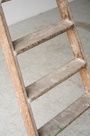 ウッド ラダー<br>ヴィンテージ<br>大阪店 - ヴィンテージ SHARK ATTACK