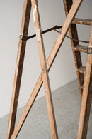 ウッド ラダー<br>ヴィンテージ<br>大阪店 - ヴィンテージ SHARK ATTACK