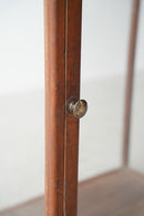 チークウッド × ガラス ショーケース/シェルフ<br>大和店 - ヴィンテージ SHARK ATTACK