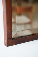 ウォールミラー<br>大和店 - ヴィンテージ SHARK ATTACK