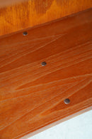 チークウッド ブックシェルフ<br>大阪店 - ヴィンテージ SHARK ATTACK