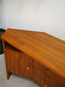 チークウッド コーナーキャビネット <br>大和店 - ヴィンテージ SHARK ATTACK