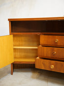 チークウッド コーナーキャビネット <br>大和店 - ヴィンテージ SHARK ATTACK