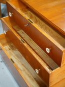 ウッド チェスト <br>大阪店 - ヴィンテージ SHARK ATTACK