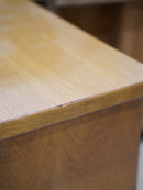 オークウッド キャビネット <br> 大和店 - ヴィンテージ SHARK ATTACK