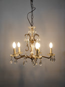 5灯シャンデリア <br>大和店