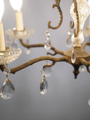 5灯シャンデリア <br>大和店