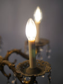 5灯 シャンデリア <br>大和店