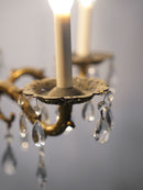 5灯 シャンデリア <br>大和店