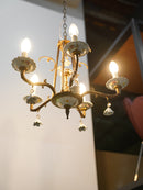 5灯 シャンデリア <br>大和店