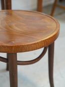 ベントウッド ダイニングチェア <br> 大和店