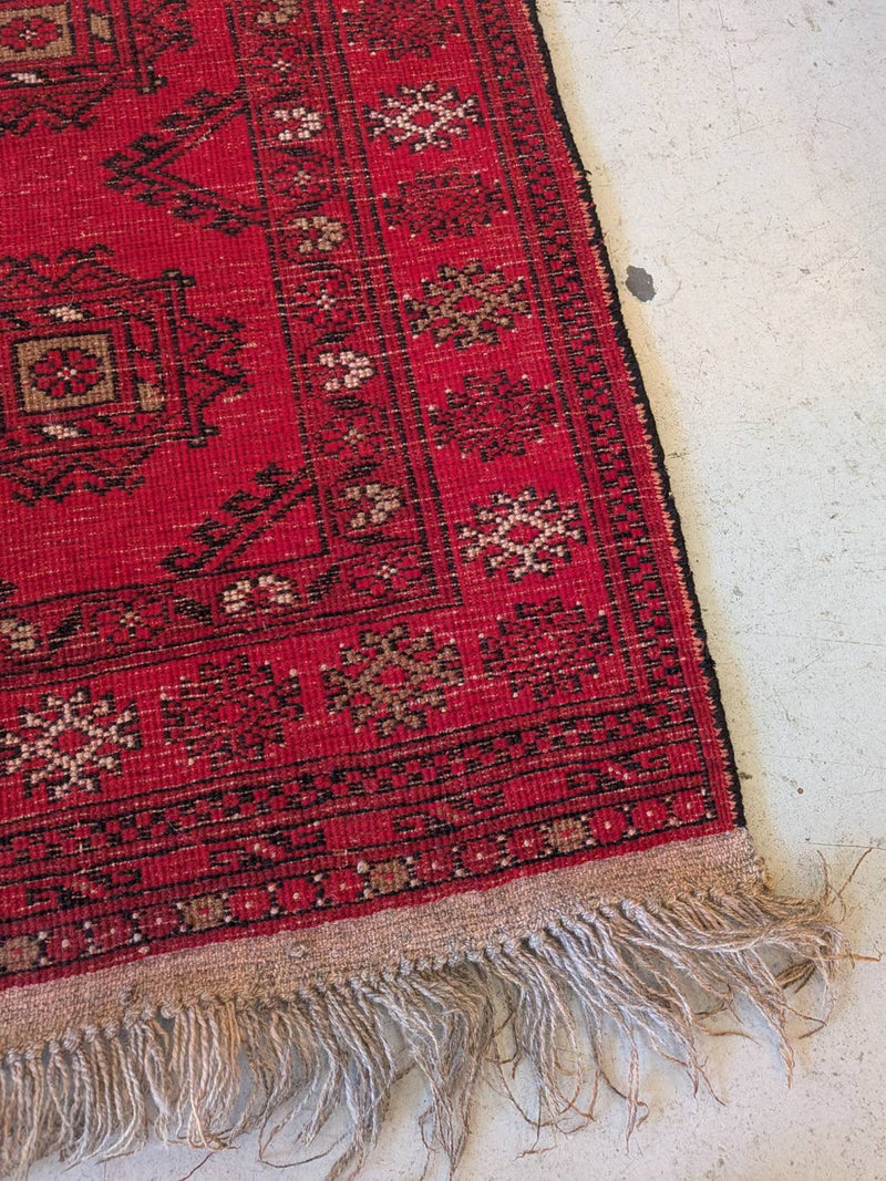 トライバルラグ  120×75 (cm) <br> 大和店