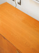 オークウッド チェスト <br>大和店