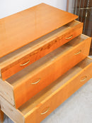 オークウッド チェスト <br>大和店