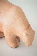 Otto Keramik  <br>Bear 1021 S<br> Otto Keramik Tokyo