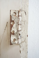 ホワイトペイントウッド ドア <br>ヴィンテージ <br>大和店 - ヴィンテージ SHARK ATTACK