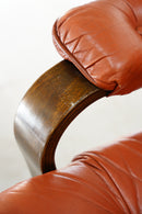 レザー ラウンジチェア <br>ヴィンテージ <br>TAMAGAWA BASE - ヴィンテージ SHARK ATTACK