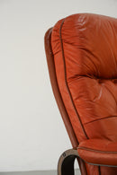 レザー ラウンジチェア <br>ヴィンテージ <br>TAMAGAWA BASE - ヴィンテージ SHARK ATTACK