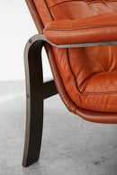 レザー ラウンジチェア <br>ヴィンテージ <br>TAMAGAWA BASE - ヴィンテージ SHARK ATTACK