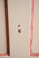 ペイントウッド ドア <br>ヴィンテージ <br>大和店 - ヴィンテージ SHARK ATTACK