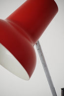 デスクランプ <br>ヴィンテージ <br>TAMAGAWA BASE - ヴィンテージ SHARK ATTACK