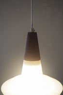 フロストガラスペンダントランプ<br>cerote antiques - ヴィンテージ SHARK ATTACK