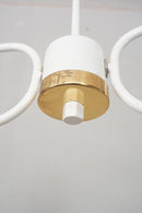 2灯 アイアンフレーム シャンデリア<br>ヴィンテージ<br>cerote antiques - ヴィンテージ SHARK ATTACK