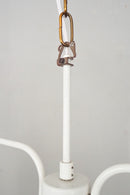 2灯 アイアンフレーム シャンデリア<br>ヴィンテージ<br>cerote antiques - ヴィンテージ SHARK ATTACK