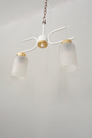 2灯 アイアンフレーム シャンデリア<br>ヴィンテージ<br>cerote antiques - ヴィンテージ SHARK ATTACK