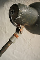 デスクランプ<br>大阪店 - ヴィンテージ SHARK ATTACK