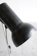 フロアランプ<br>大阪店 - ヴィンテージ SHARK ATTACK