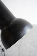 フロアランプ<br>大阪店 - ヴィンテージ SHARK ATTACK