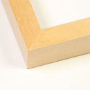 Printed matter<br>PM09 apcPwb (peach) Posters<br>大和店 - ヴィンテージ SHARK ATTACK