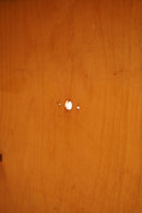 オークウッド デスク <br>大阪店 - ヴィンテージ SHARK ATTACK