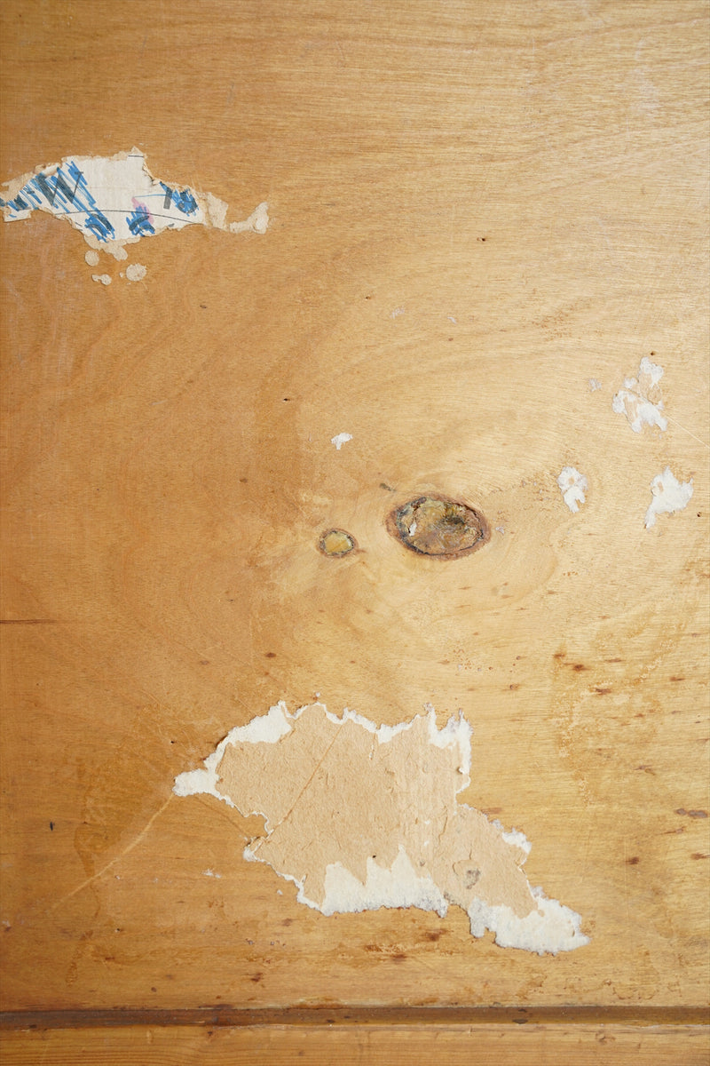 オークウッド デスク <br>大阪店 - ヴィンテージ SHARK ATTACK